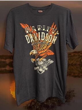 NWT Harley-Davidson Charcoal Gray Epic Graphic Tee Men’s Large